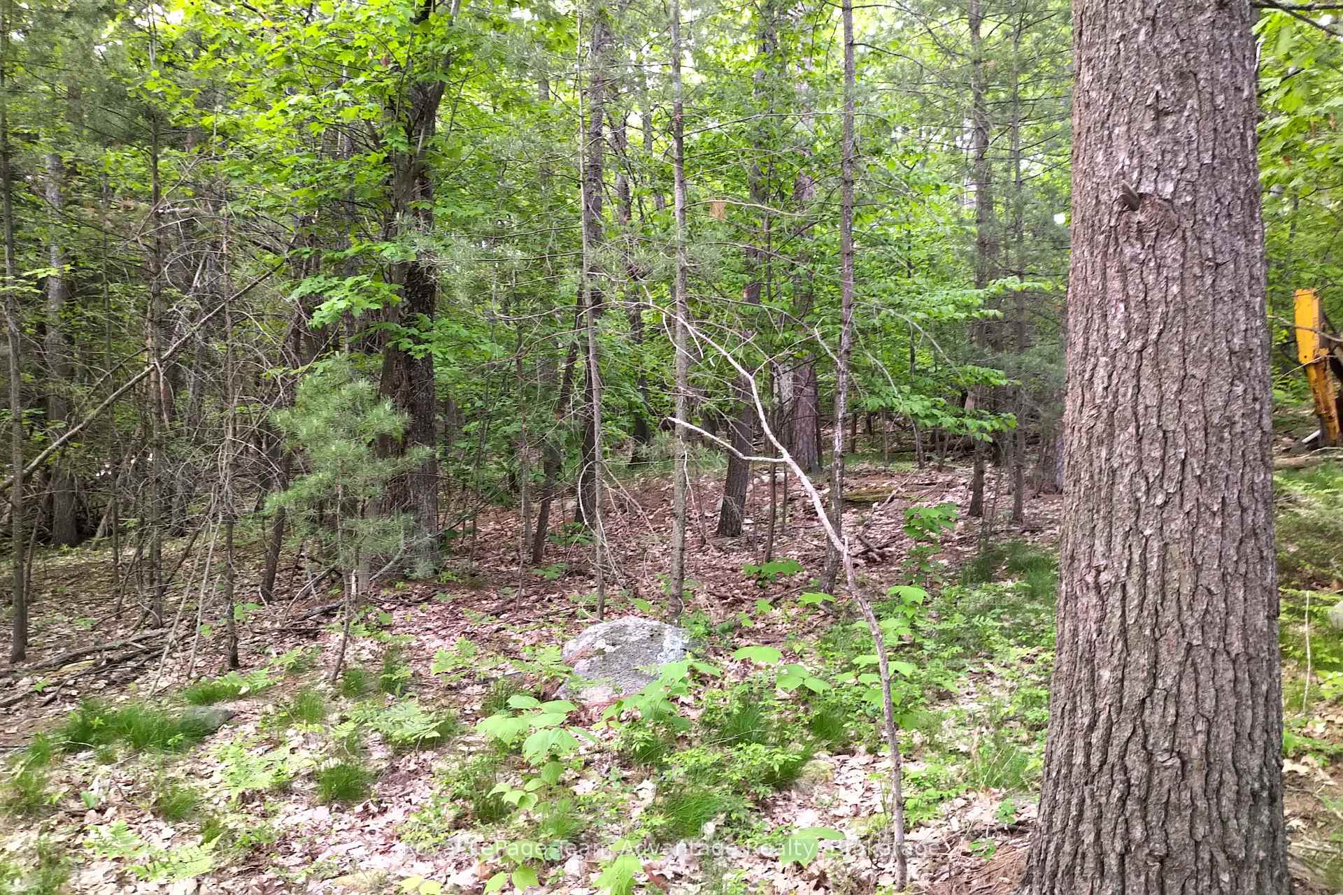 Photo 9 of 59 Huckleberry Island, Carling — HOMEH