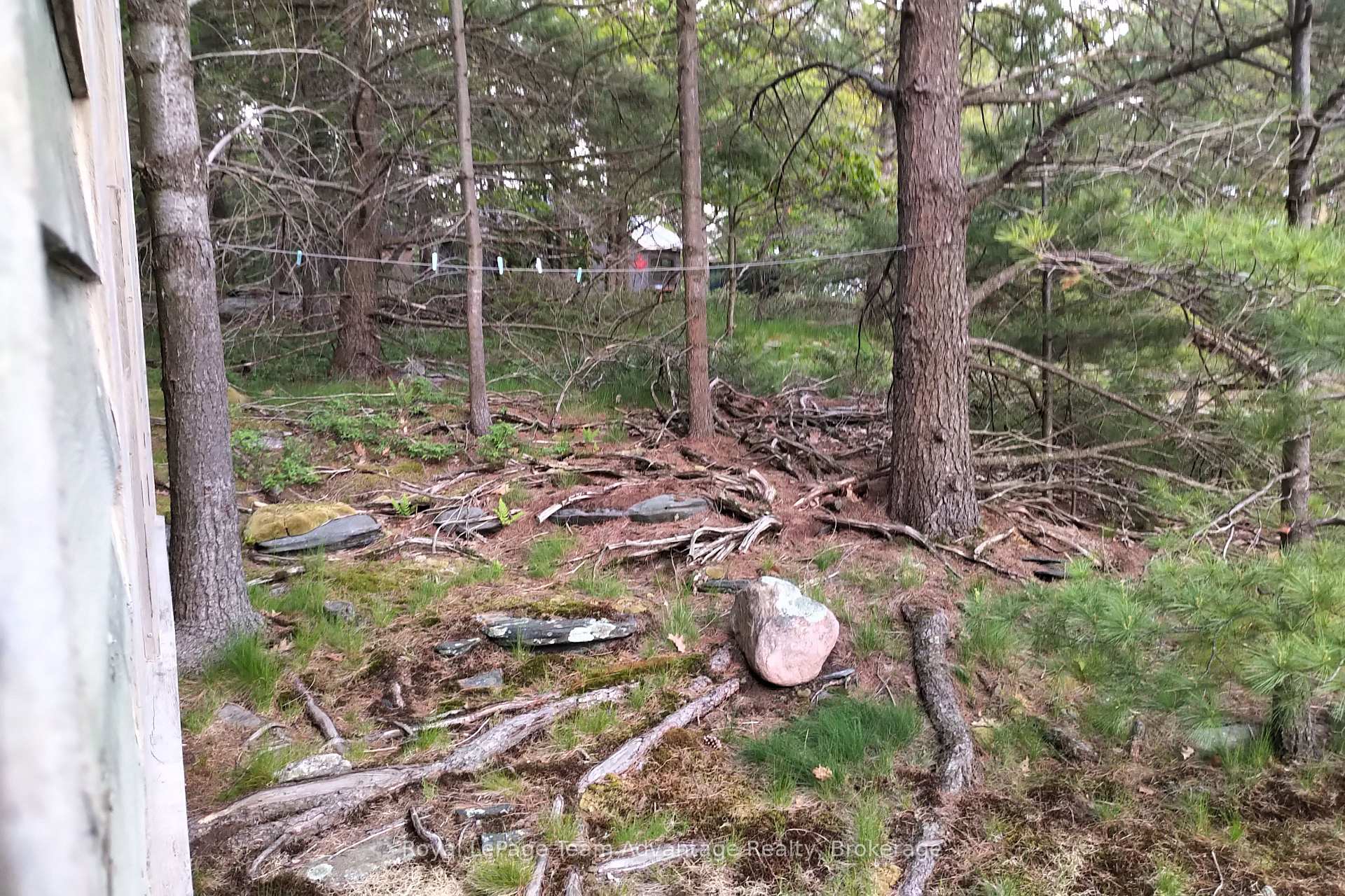 Photo 14 of 59 Huckleberry Island, Carling — HOMEH