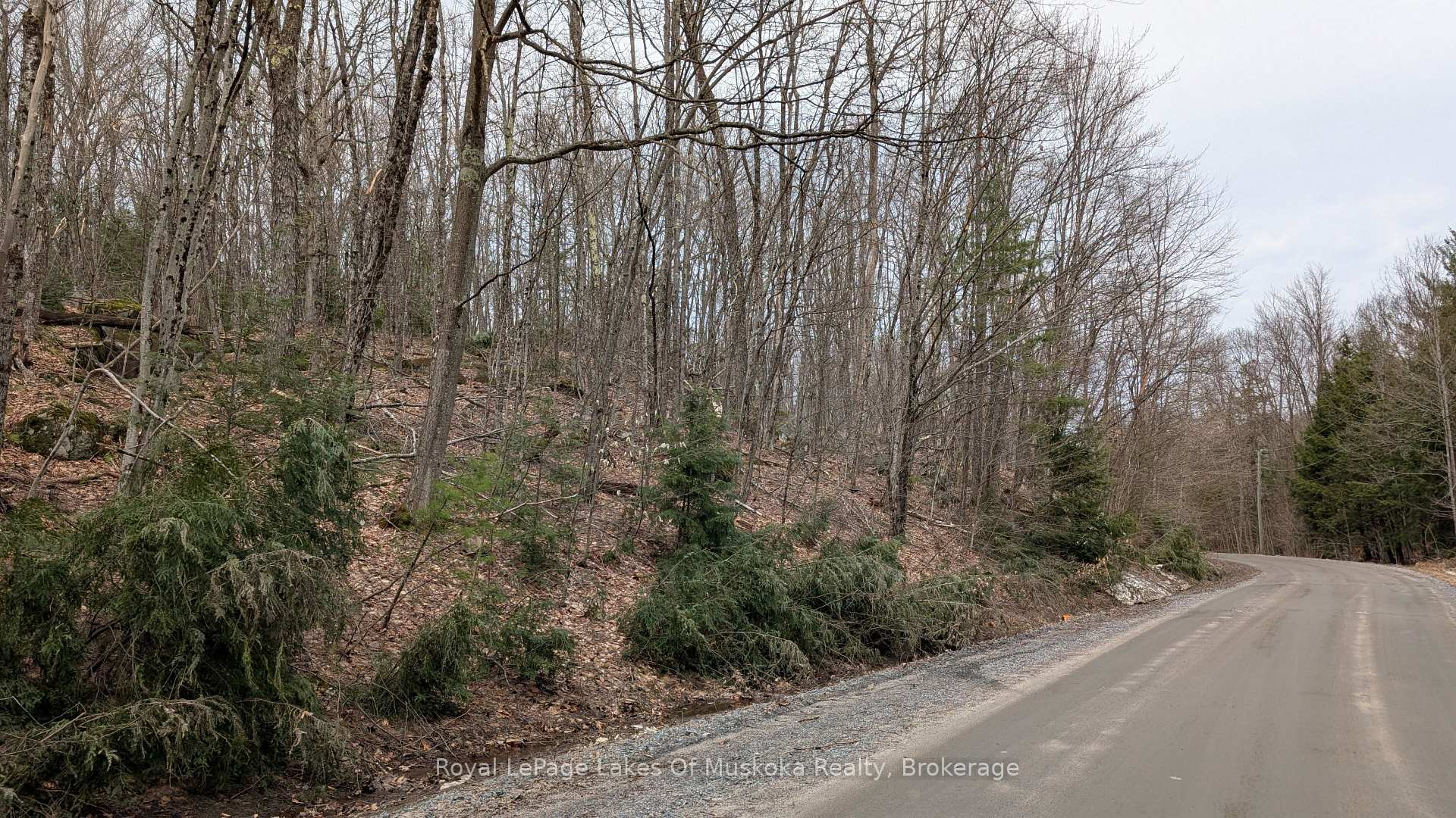 Photo 13 of Rocksborough Road, Bracebridge, Draper — HOMEH