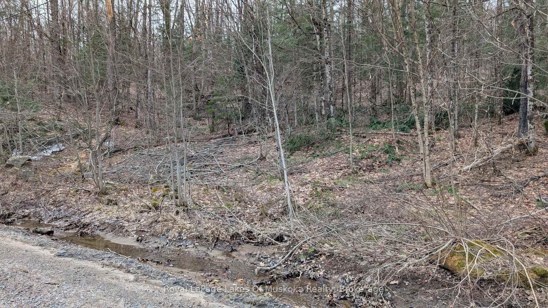 Photo 17 of Rocksborough Road, Bracebridge, Draper — HOMEH