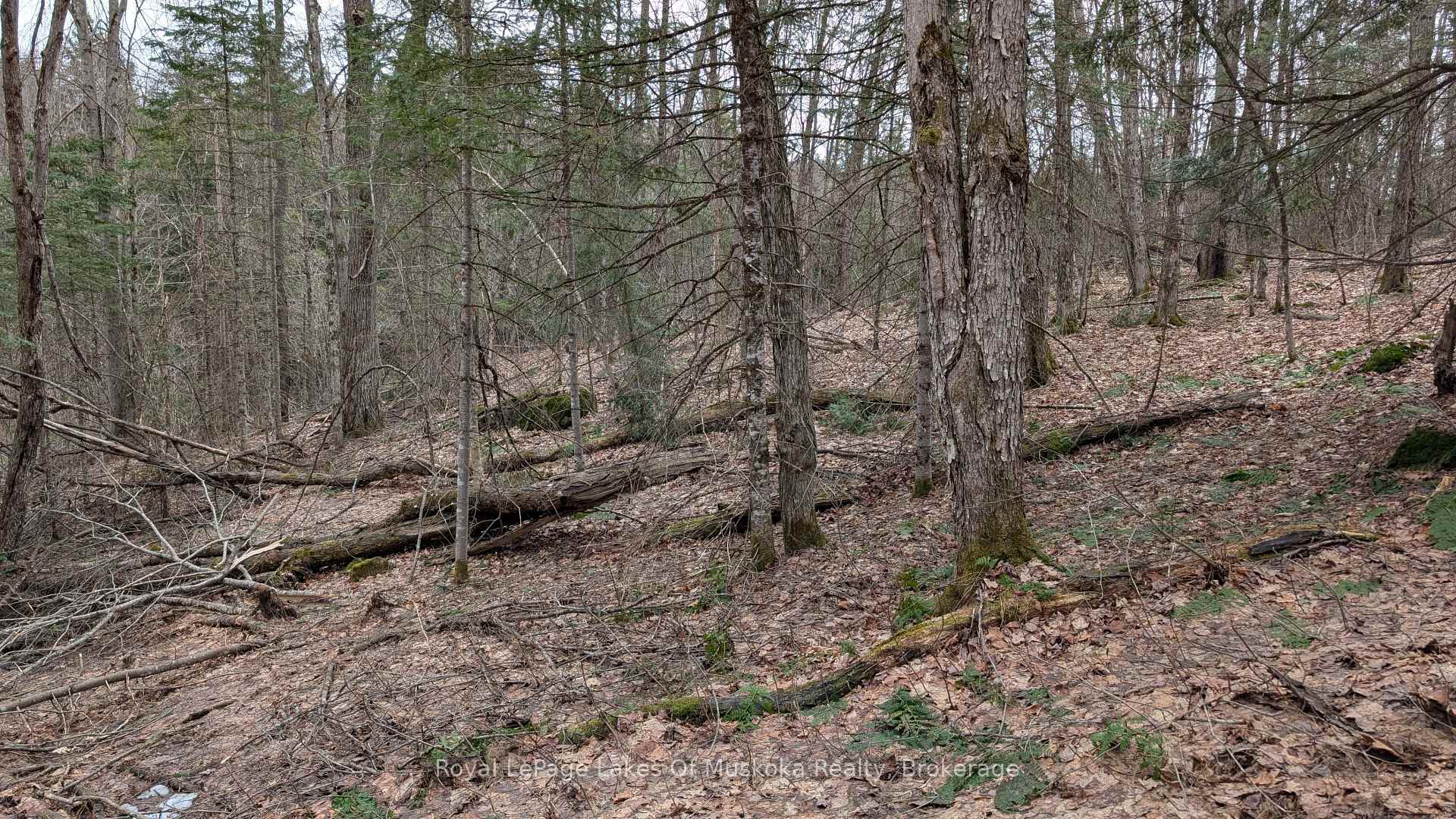 Photo 18 of Rocksborough Road, Bracebridge, Draper — HOMEH