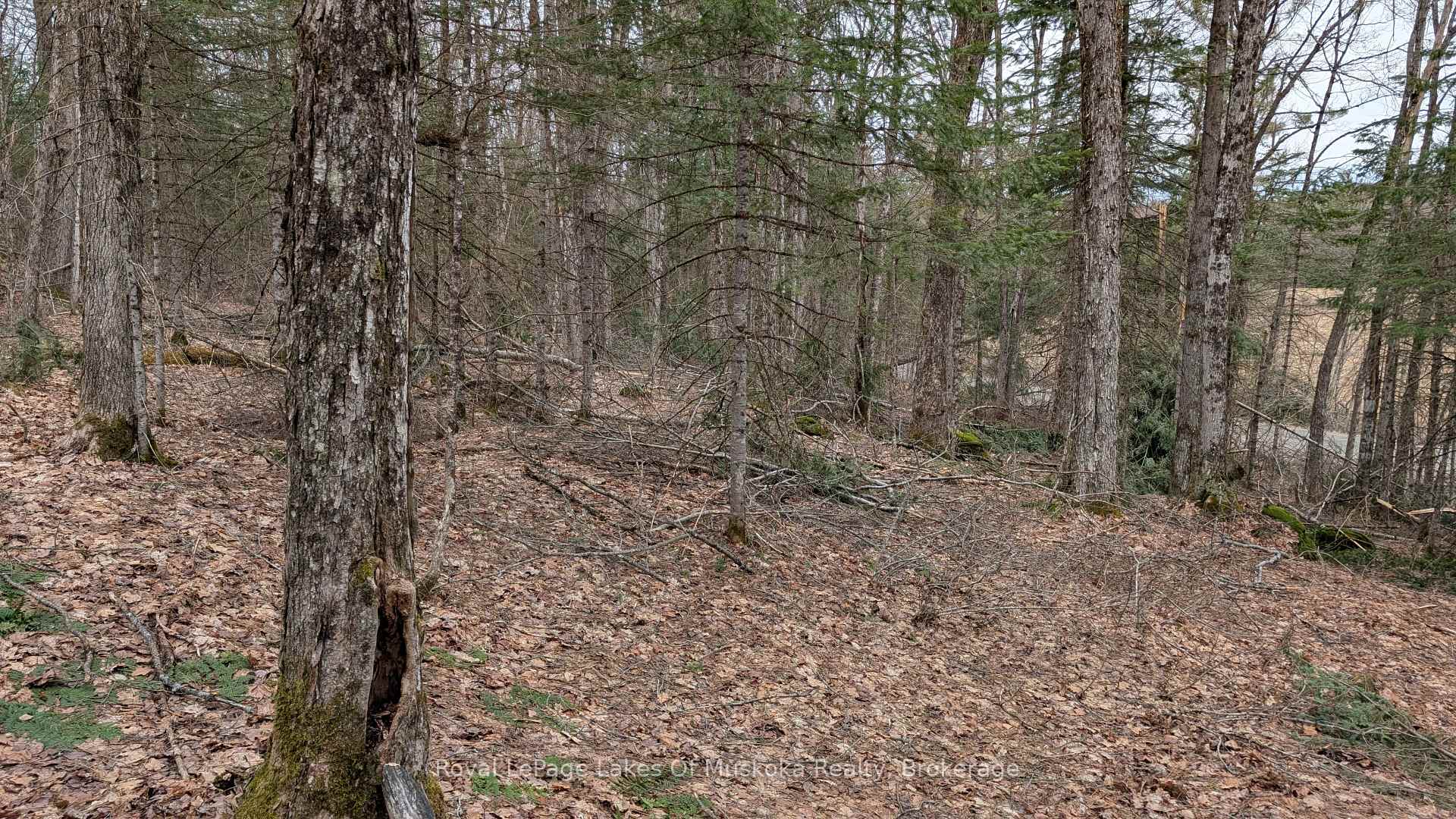 Photo 19 of Rocksborough Road, Bracebridge, Draper — HOMEH