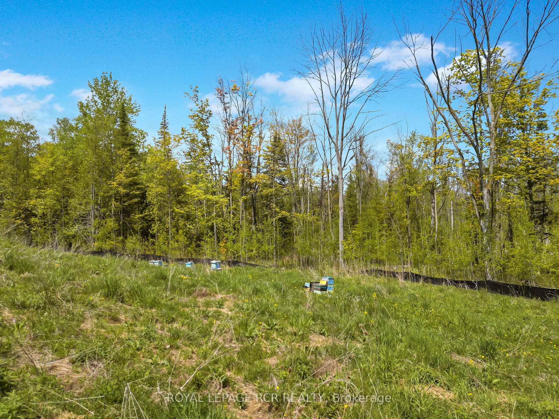 Photo 8 of 6651 3rd Line, Essa, Rural Essa — HOMEH