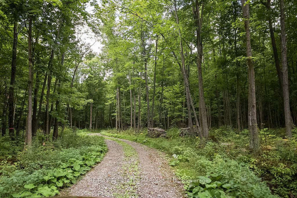 Photo 21 of 19509 County Road 43, North Glengarry, North Glengarry (Kenyon) Twp — HOMEH