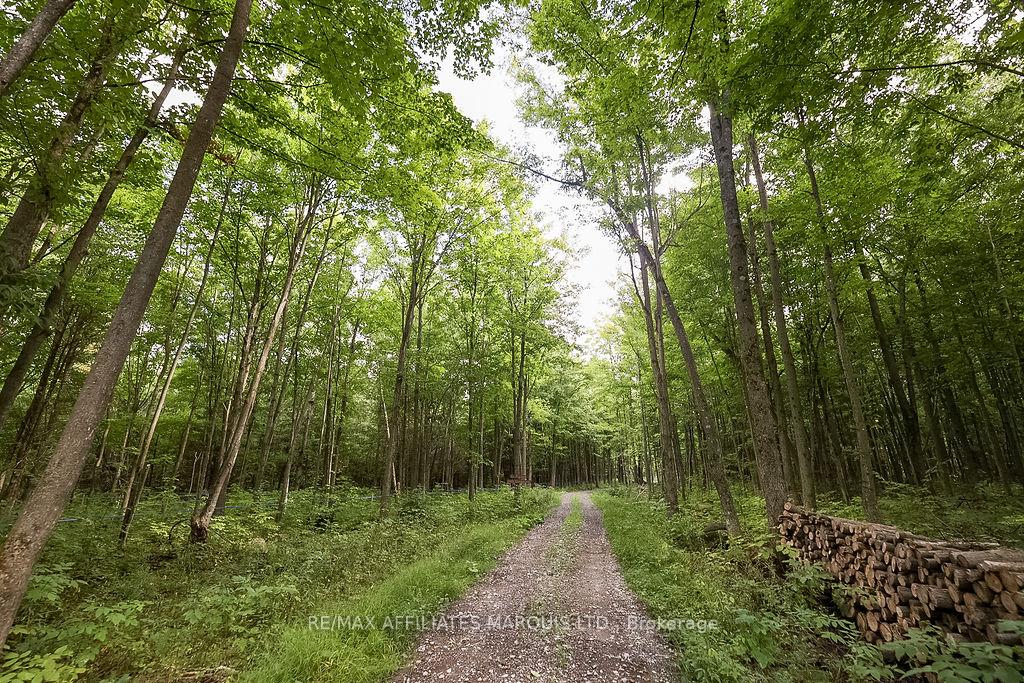 Photo 22 of 19509 County Road 43, North Glengarry, North Glengarry (Kenyon) Twp — HOMEH