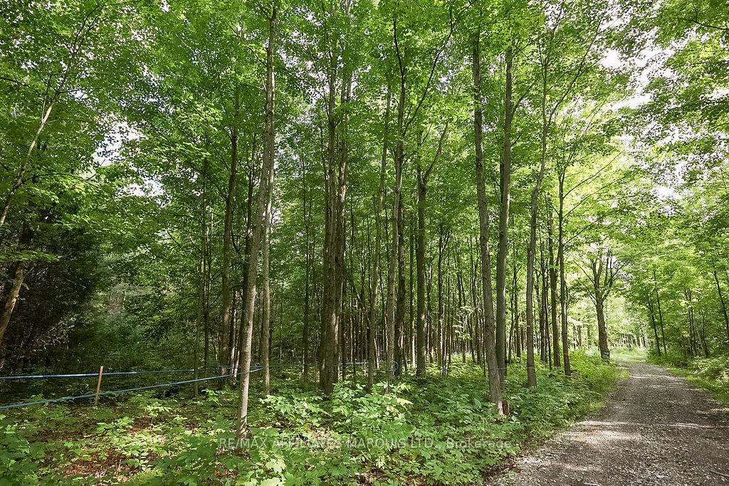 Photo 23 of 19509 County Road 43, North Glengarry, North Glengarry (Kenyon) Twp — HOMEH