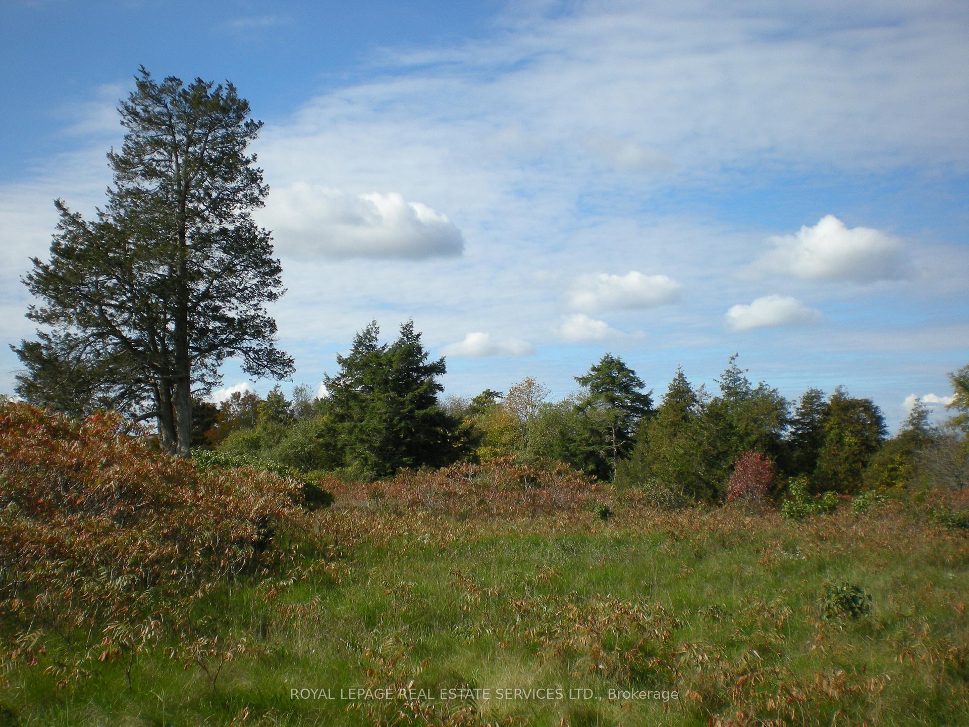 Photo 12 of County Road 10, Lot 2, Prince Edward County, South Marysburg Ward — HOMEH