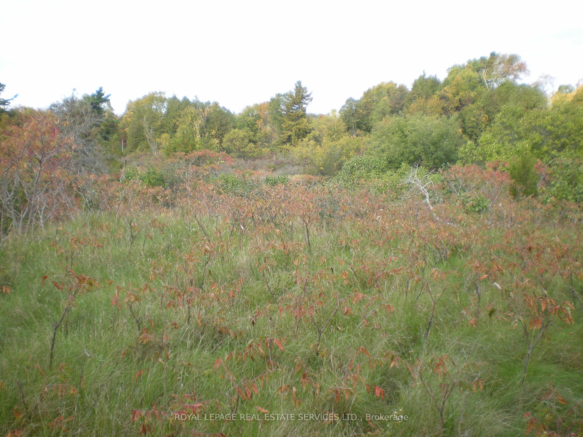 Photo 24 of County Road 10, Lot 2, Prince Edward County, South Marysburg Ward — HOMEH