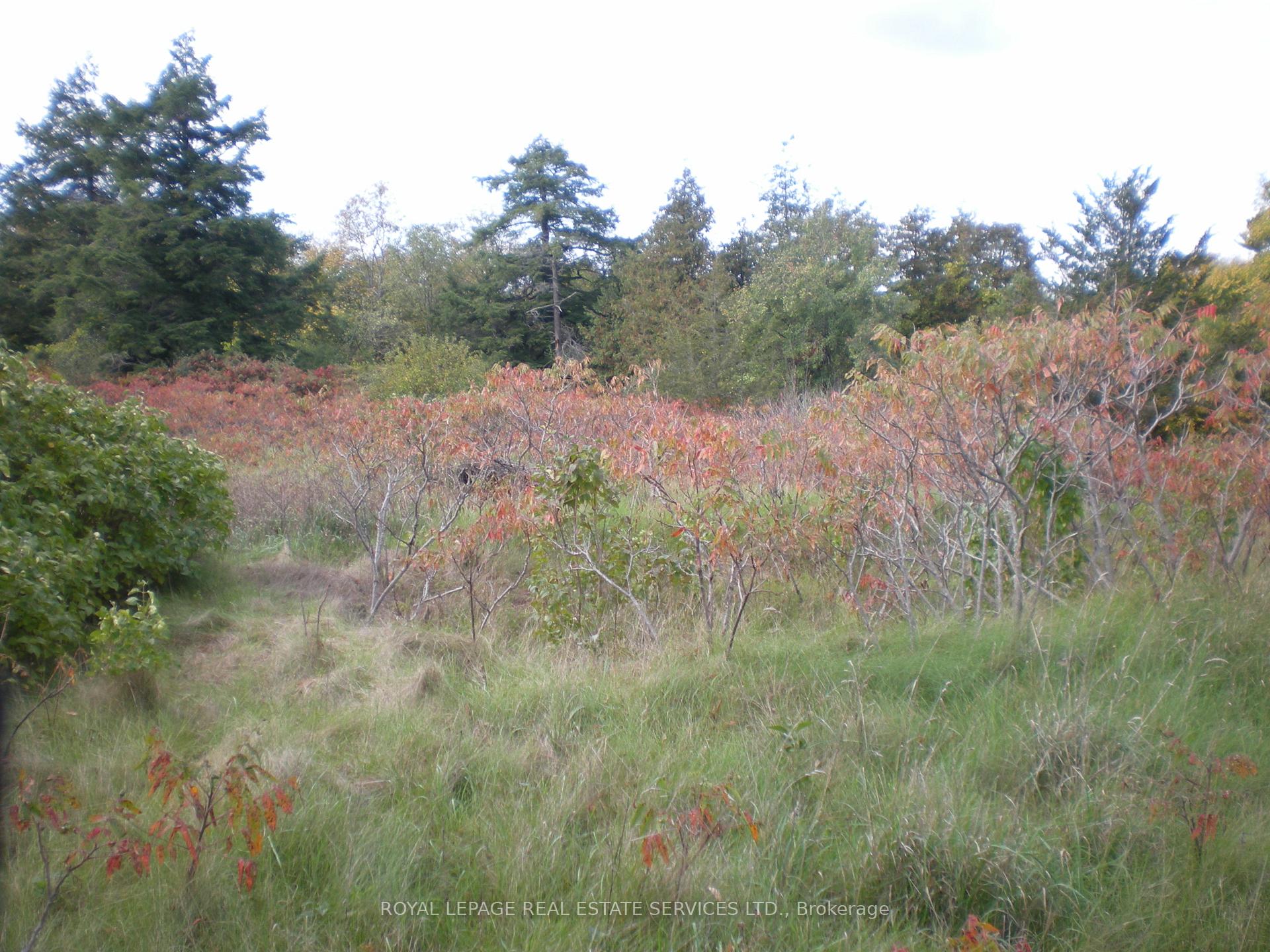 Photo 19 of County Road 10, Lot 2, Prince Edward County, South Marysburg Ward — HOMEH