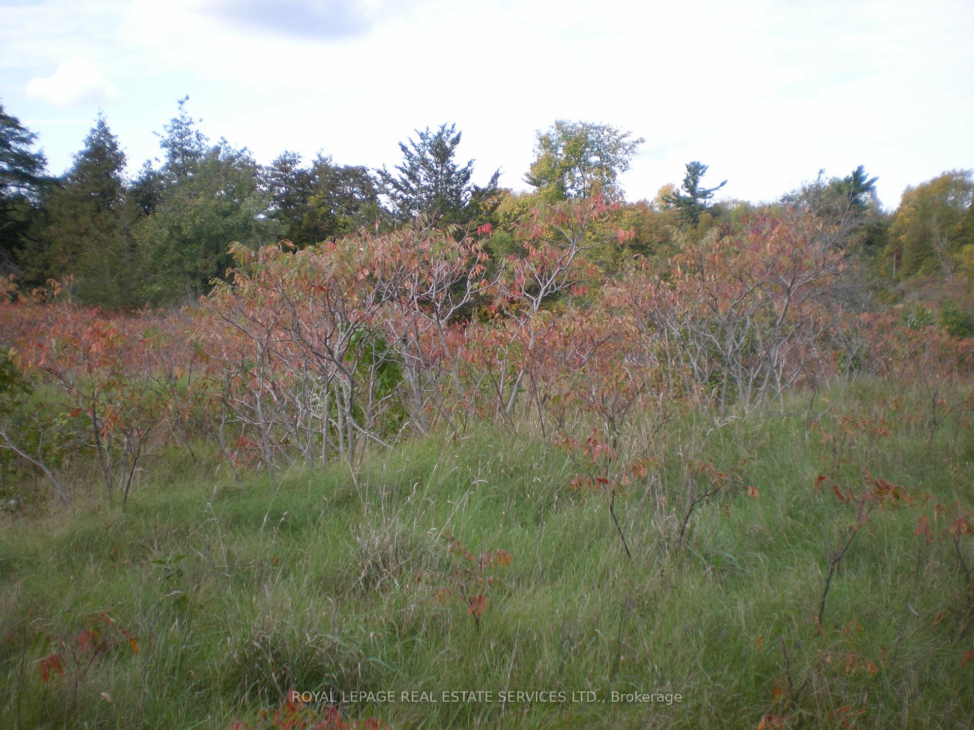 Photo 21 of County Road 10, Lot 2, Prince Edward County, South Marysburg Ward — HOMEH