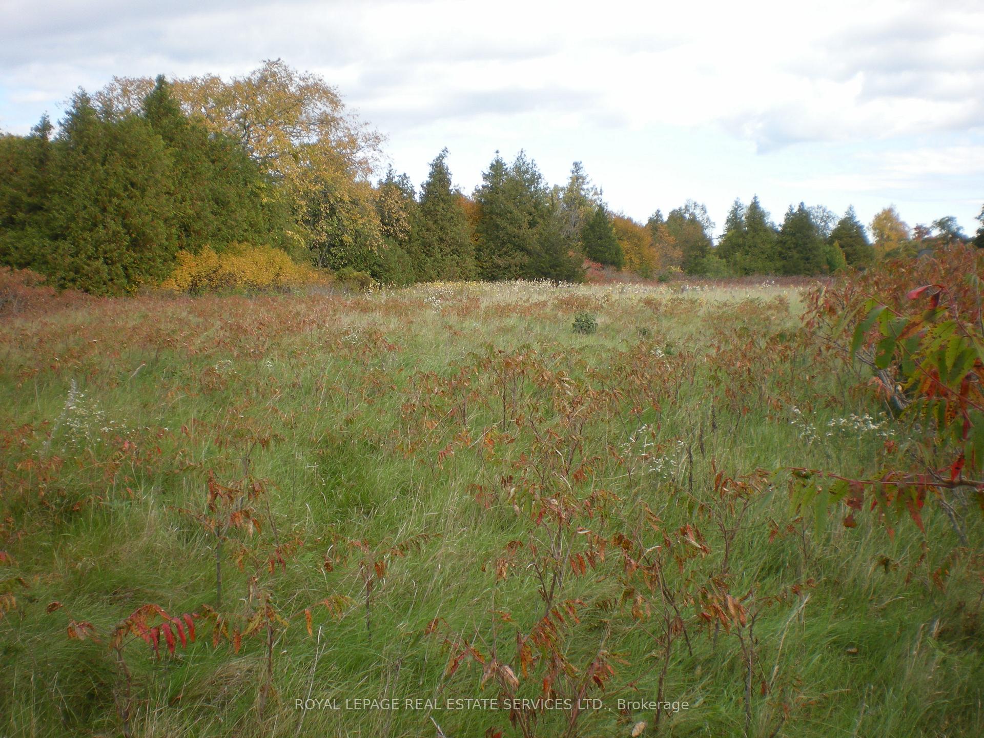 Photo 25 of County Road 10, Lot 2, Prince Edward County, South Marysburg Ward — HOMEH
