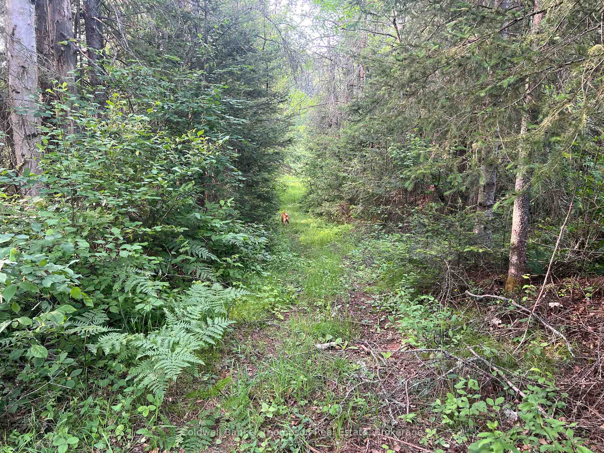 Photo 4 of 1152 Forest Lake Road, Joly — HOMEH
