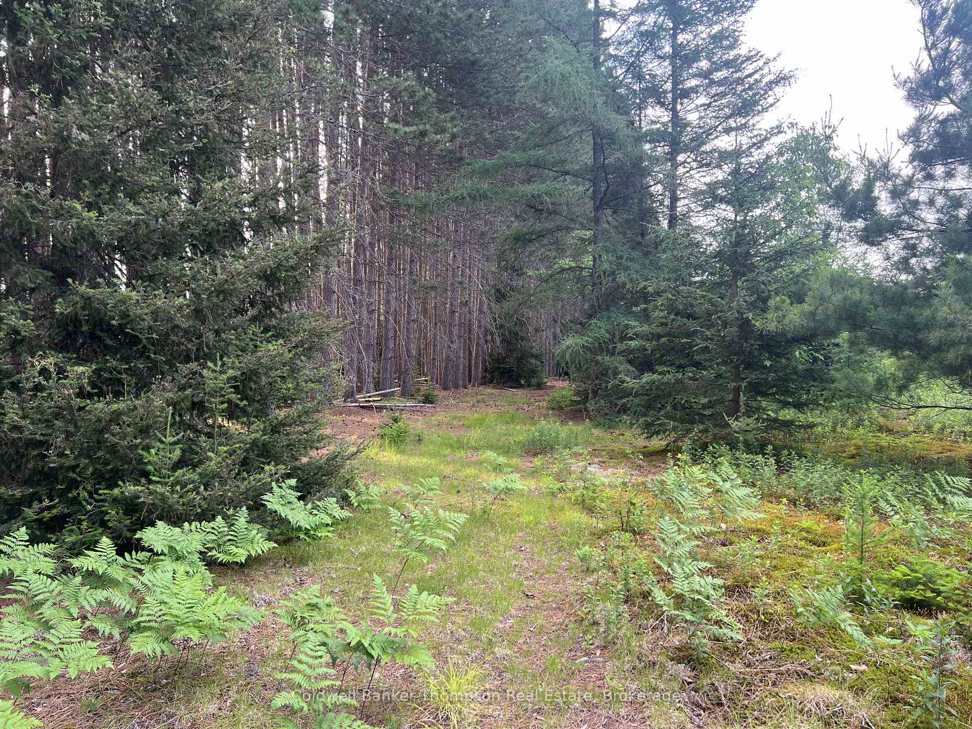 Photo 7 of 1152 Forest Lake Road, Joly — HOMEH