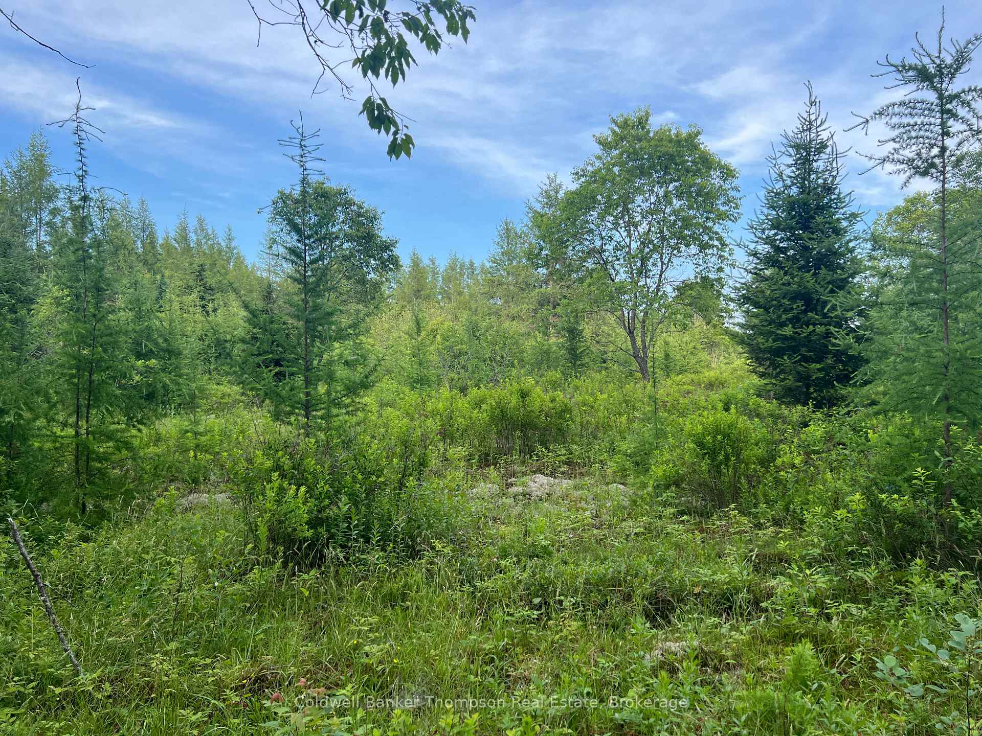 Photo 8 of 1152 Forest Lake Road, Joly — HOMEH