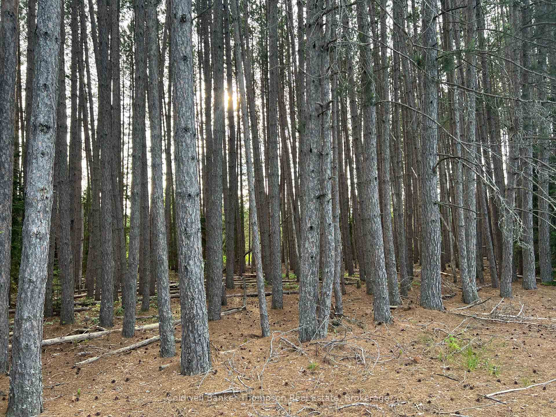 Photo 9 of 1152 Forest Lake Road, Joly — HOMEH