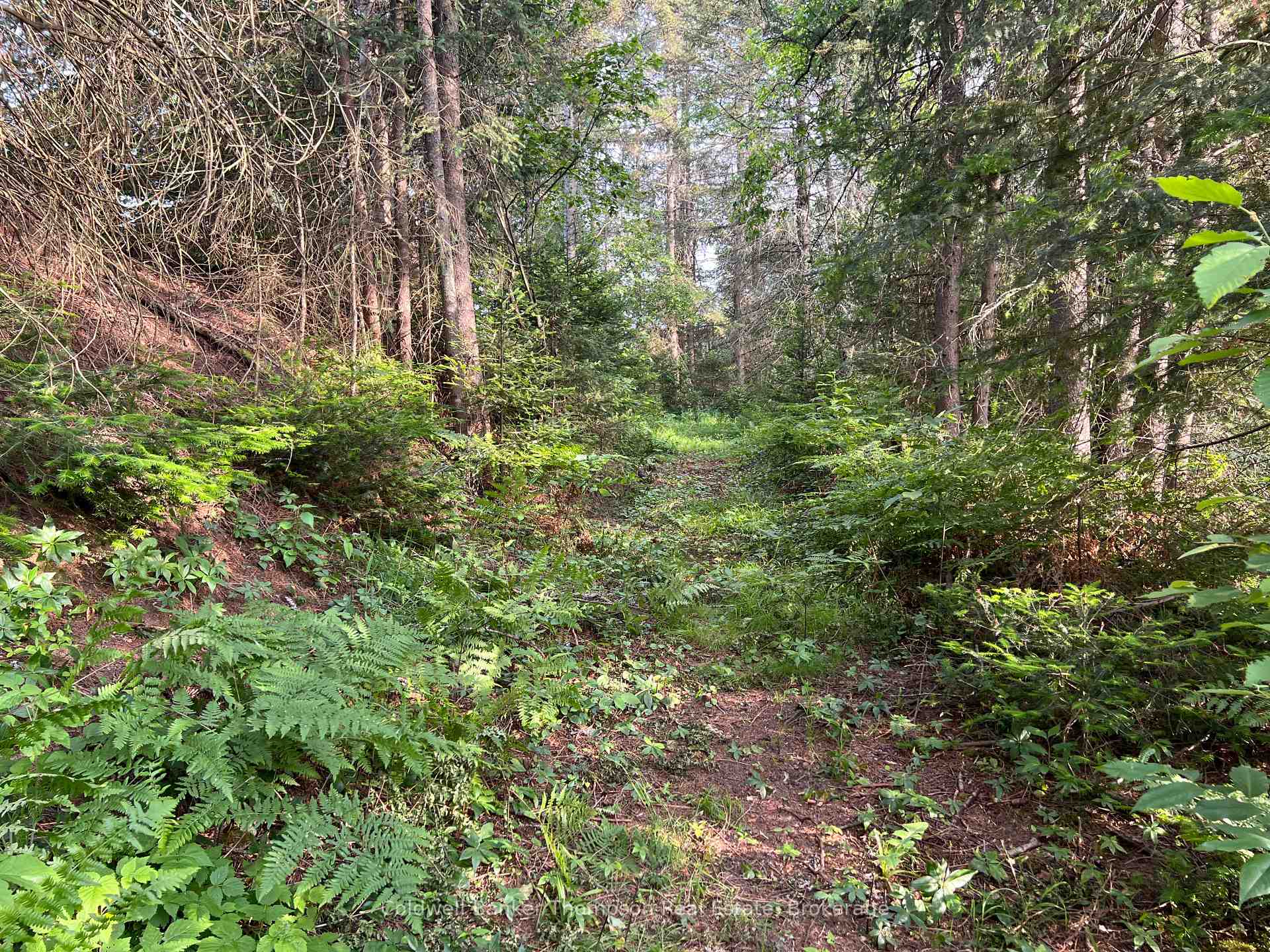 Photo 10 of 1152 Forest Lake Road, Joly — HOMEH