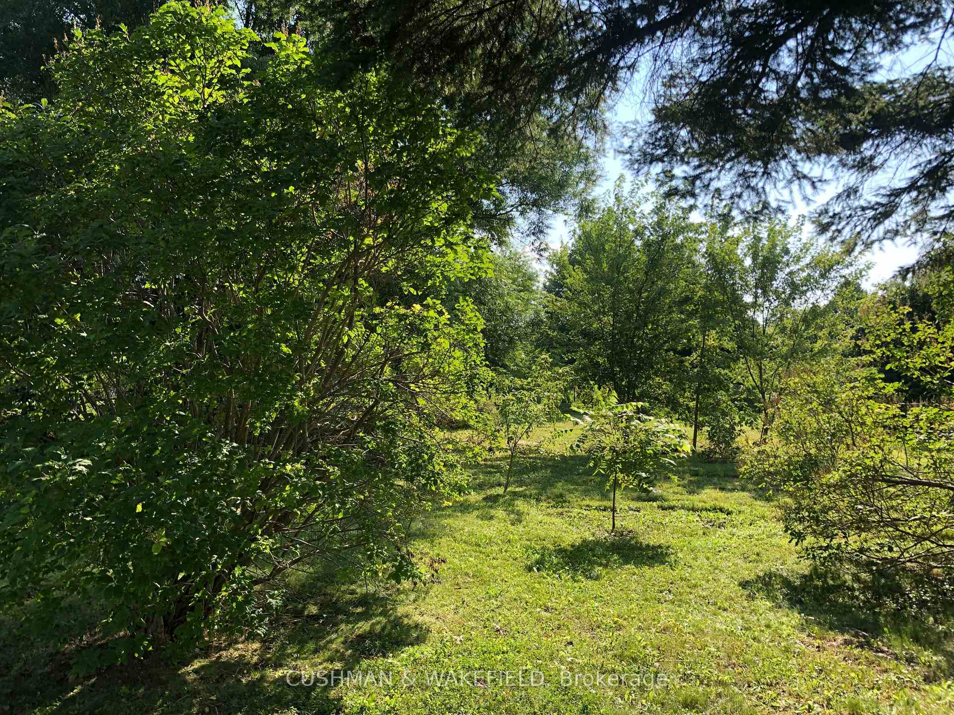 Photo 10 of 313 Helen Avenue, Markham, Unionville — HOMEH