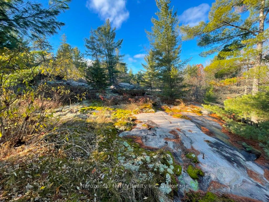 Photo 37 of 100 C Whippoorwill Road, French River — HOMEH