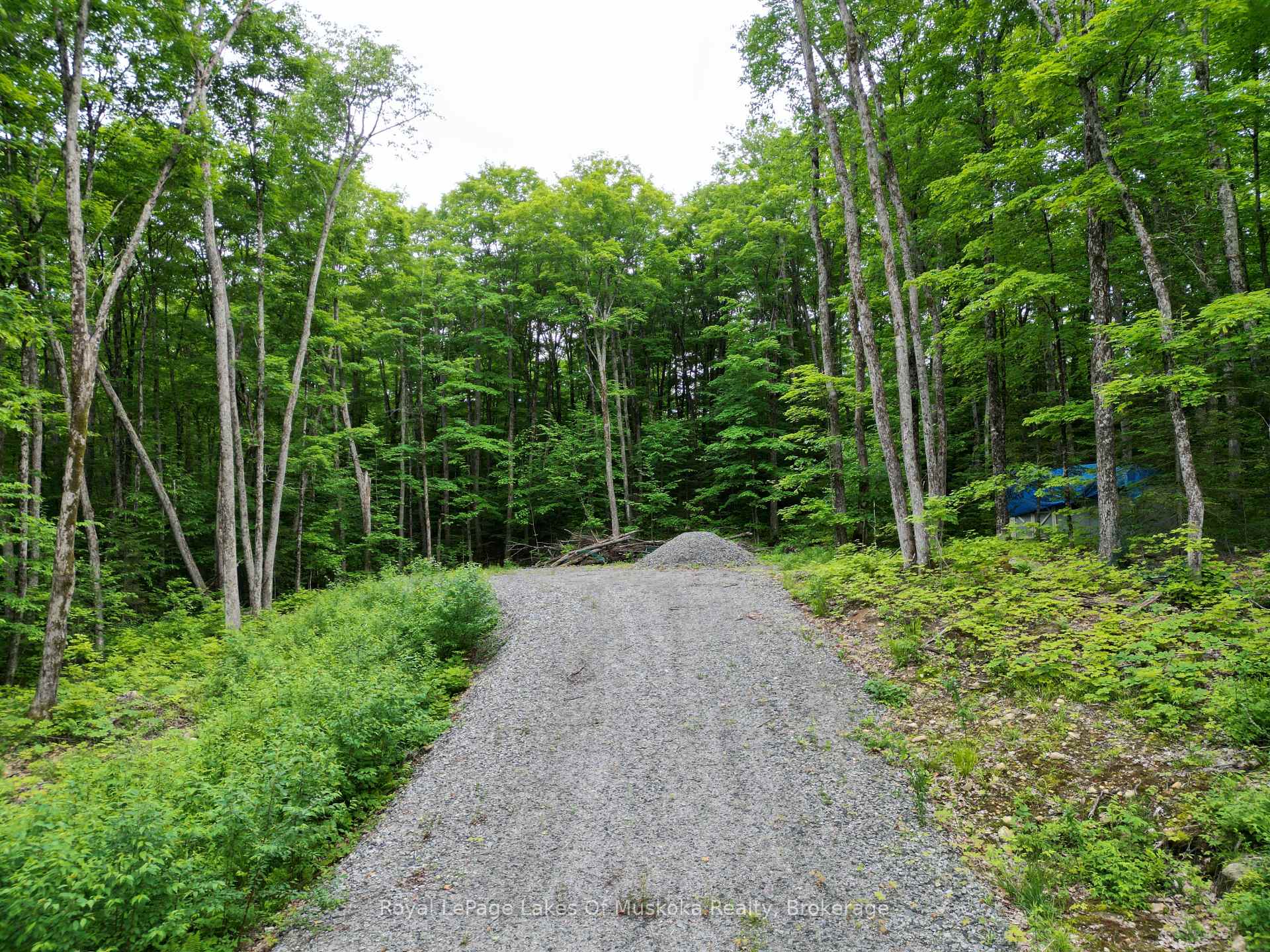 Photo 7 of LOT 29 Bay Lake Road, Perry — HOMEH