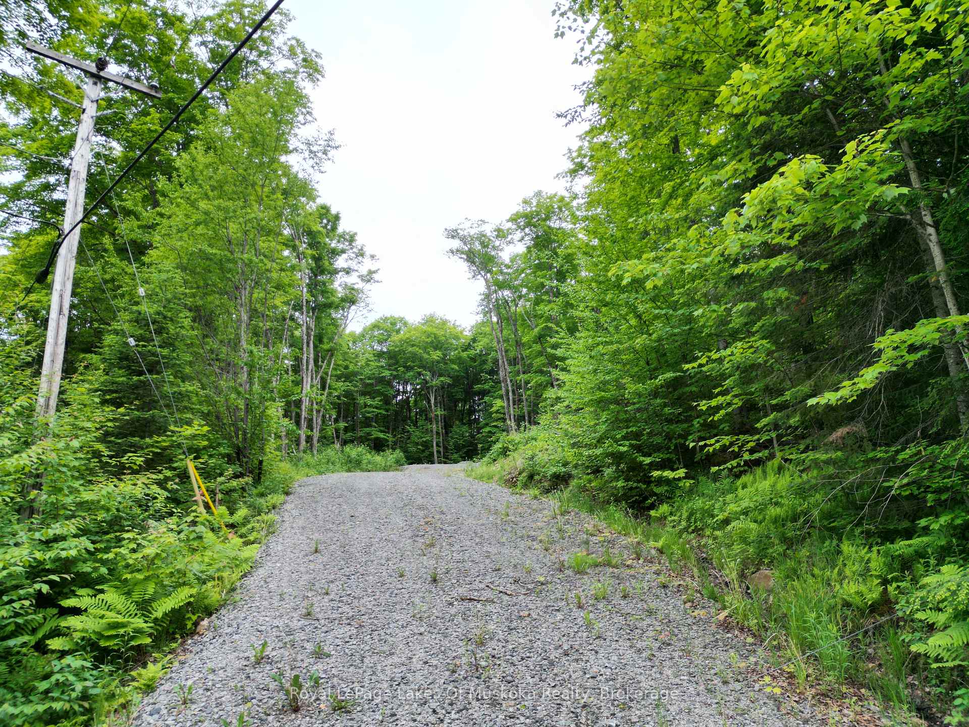 Photo 8 of LOT 29 Bay Lake Road, Perry — HOMEH
