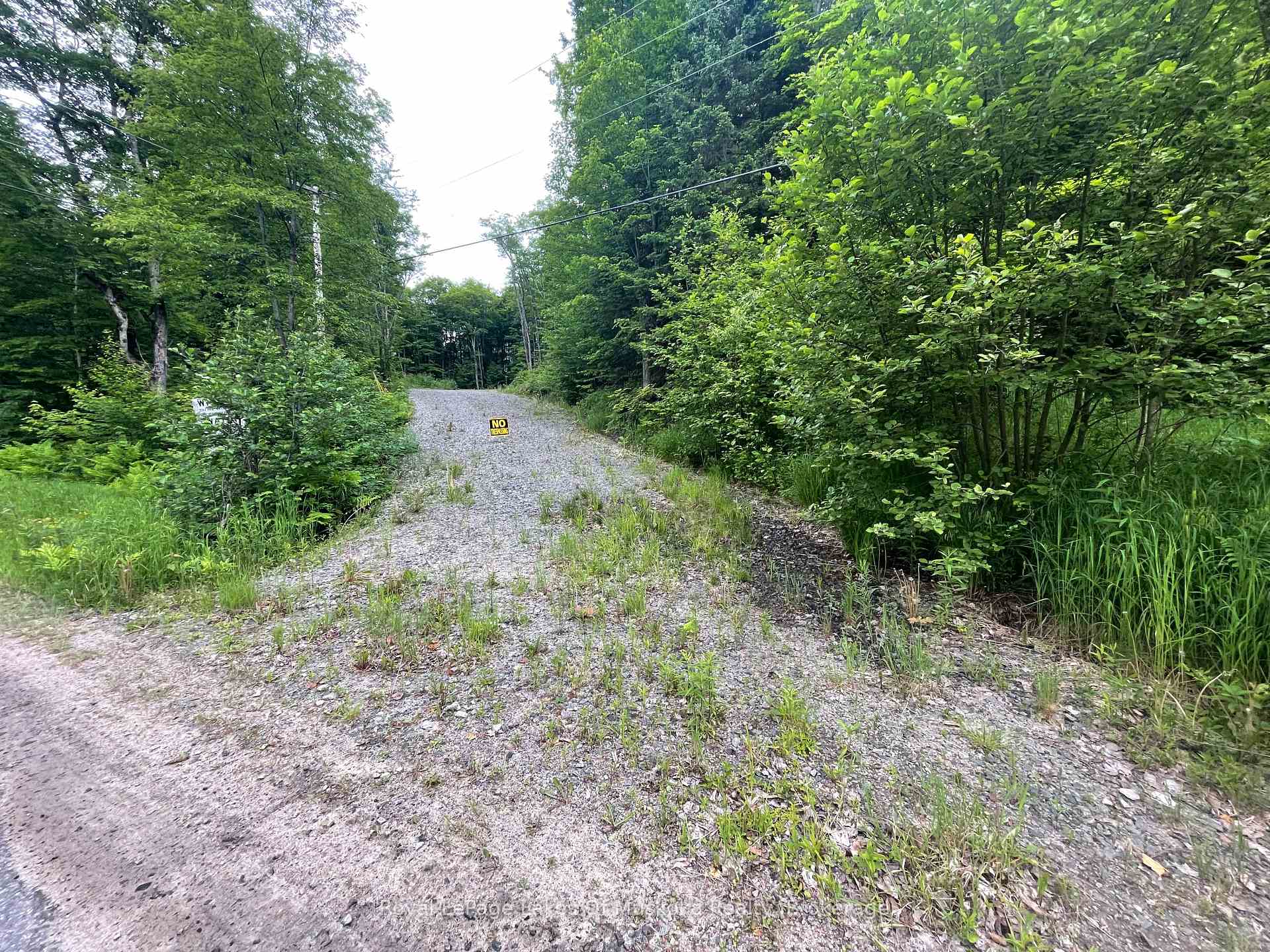 Photo 10 of LOT 29 Bay Lake Road, Perry — HOMEH
