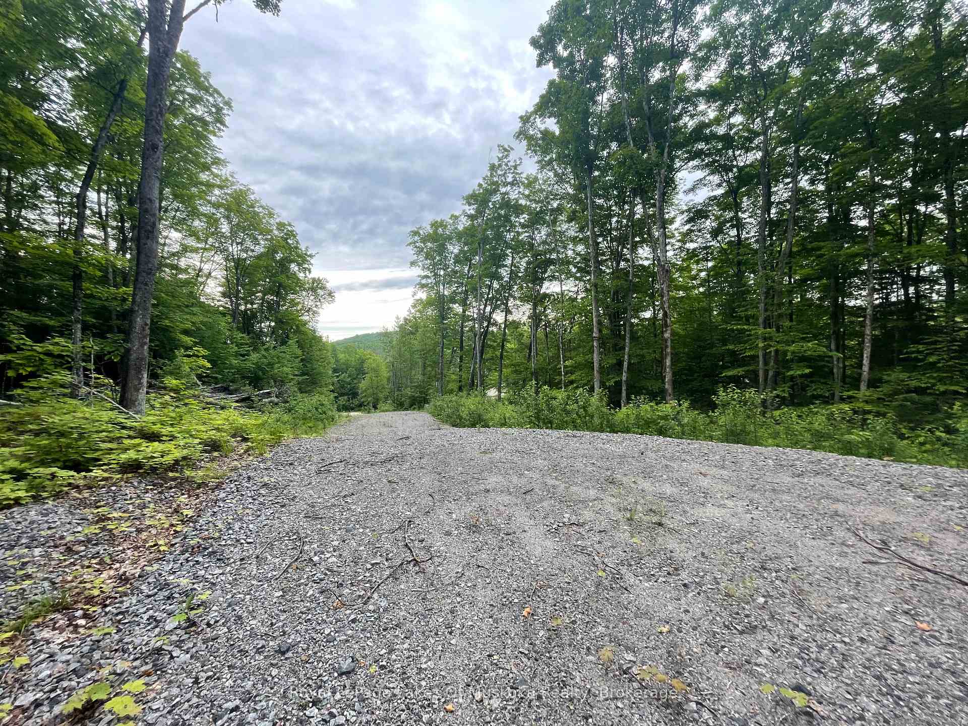 Photo 11 of LOT 29 Bay Lake Road, Perry — HOMEH