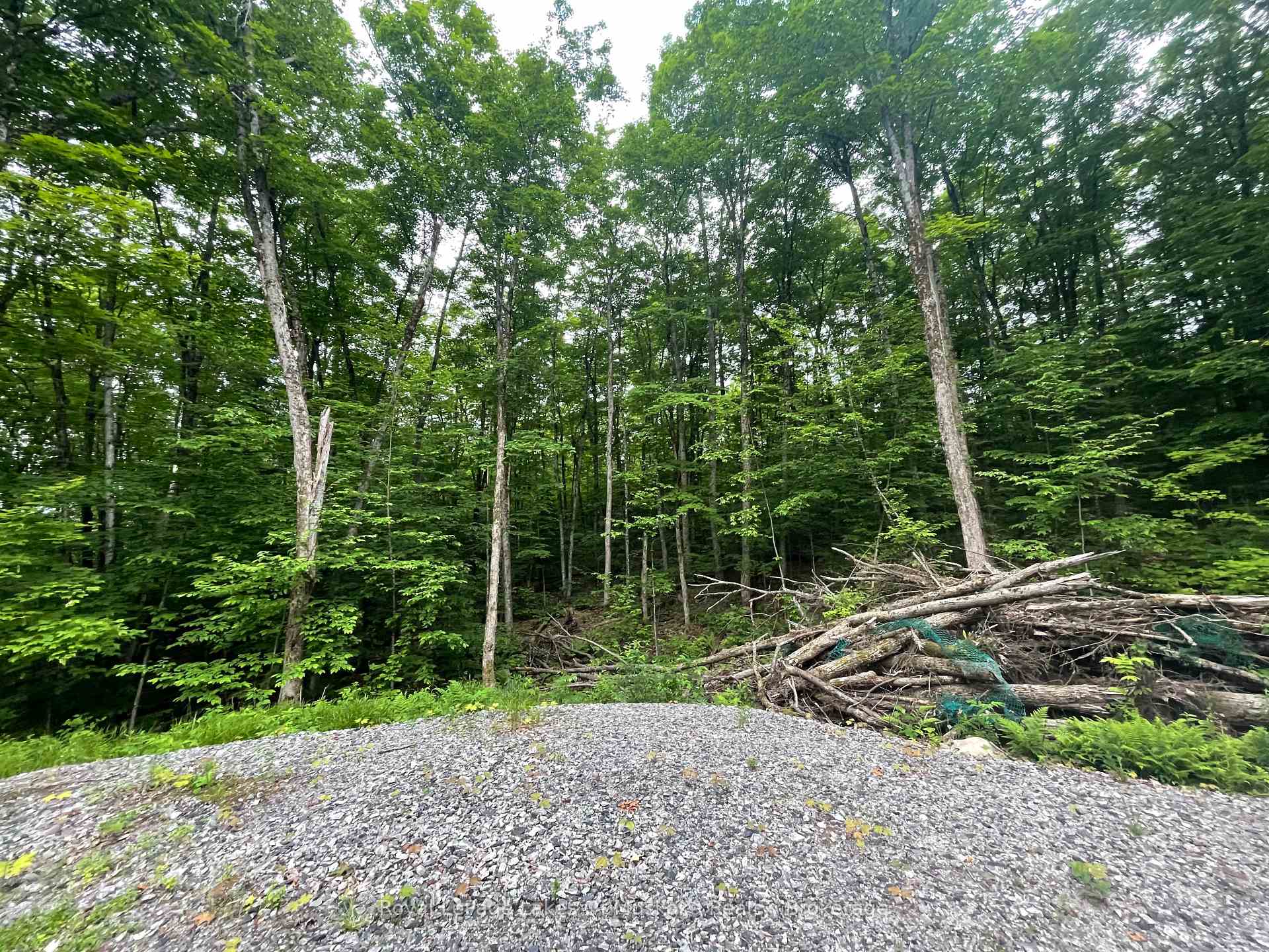 Photo 12 of LOT 29 Bay Lake Road, Perry — HOMEH