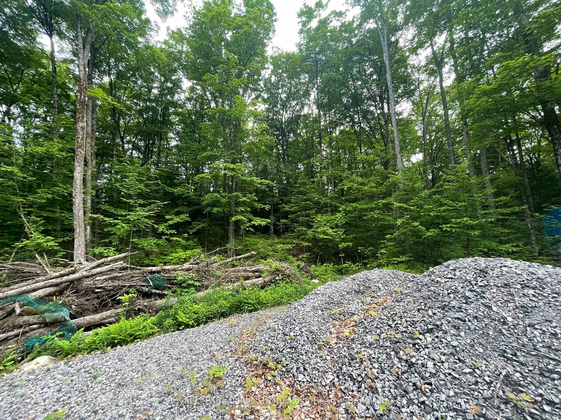 Photo 13 of LOT 29 Bay Lake Road, Perry — HOMEH