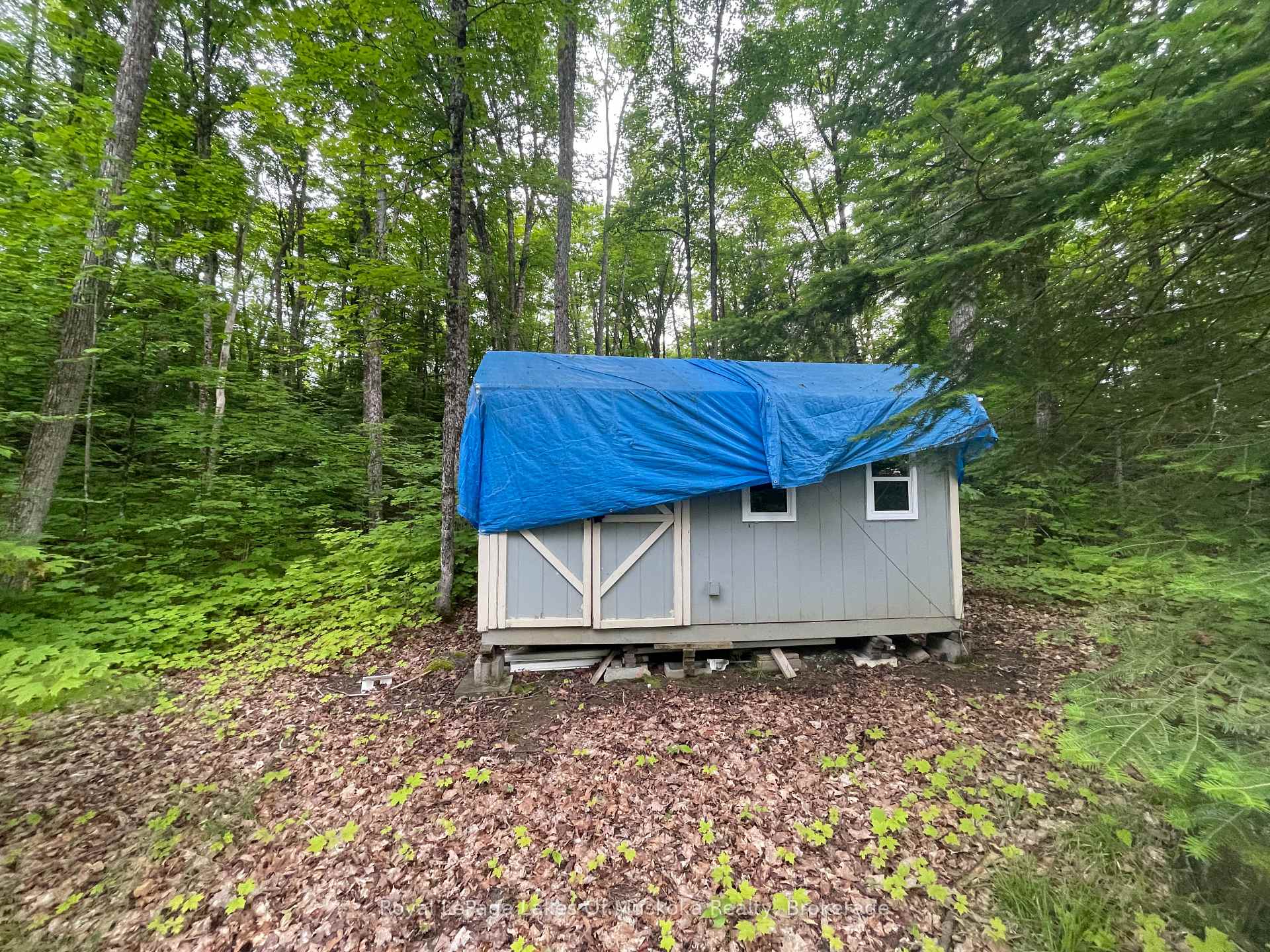 Photo 14 of LOT 29 Bay Lake Road, Perry — HOMEH