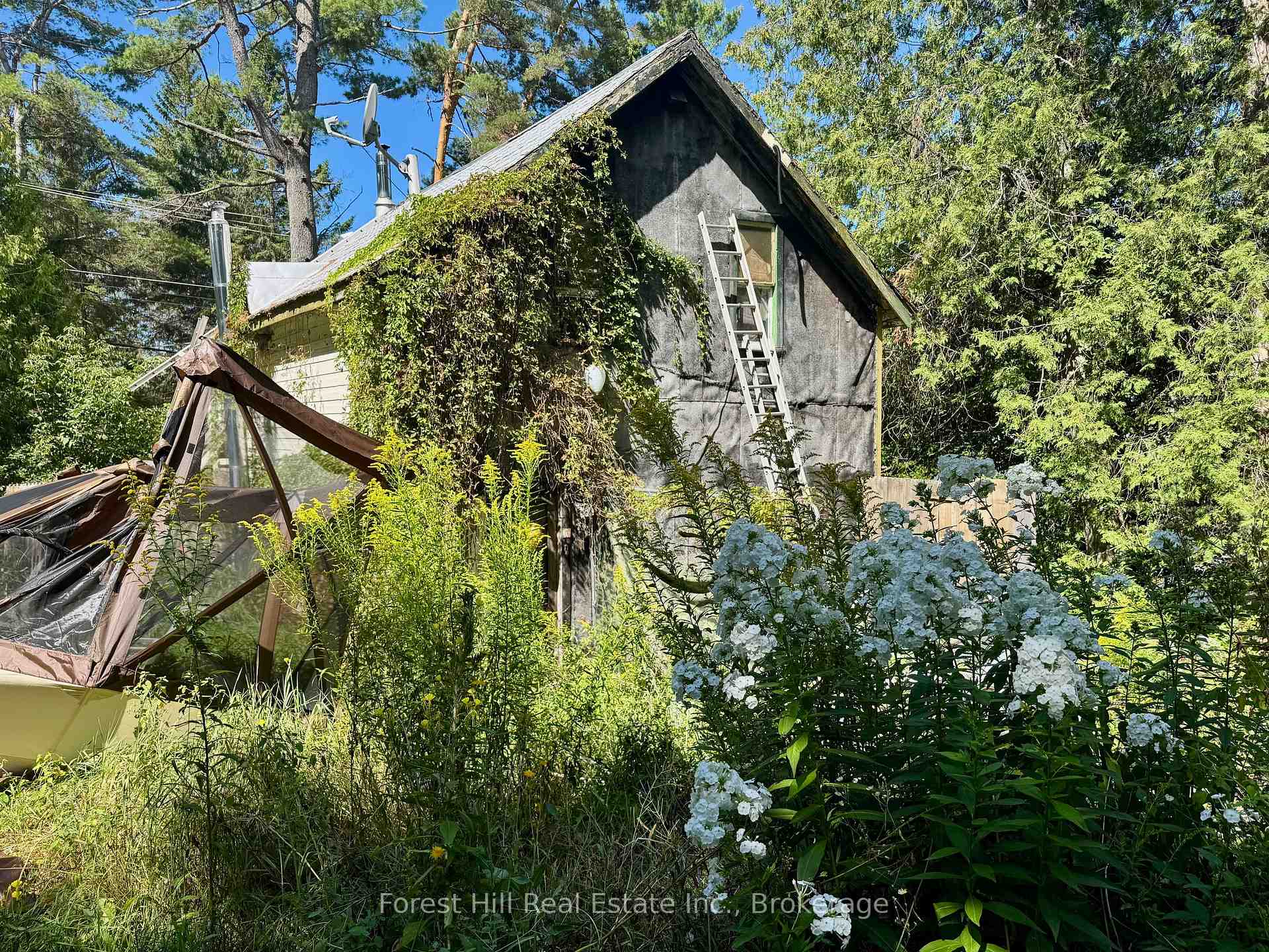 Photo 28 of 1093 Main Street, Algonquin Highlands, Sherborne — HOMEH