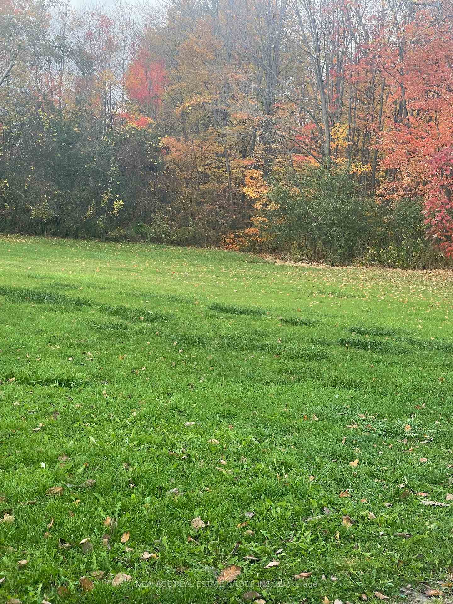 Photo 2 of 14726 Caledon King Townline Line, Caledon, Rural Caledon — HOMEH