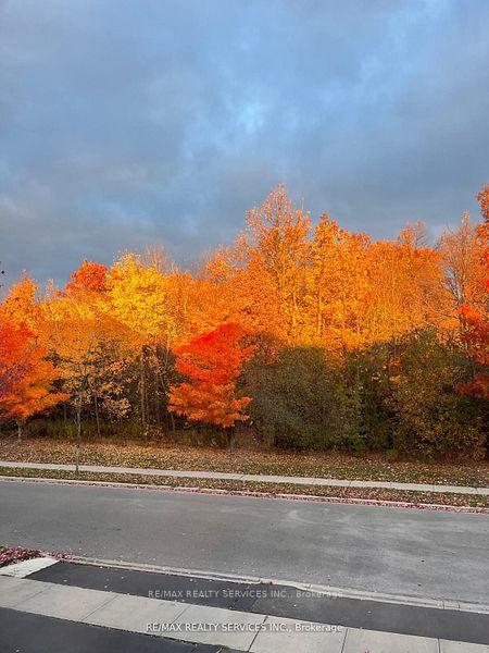 Photo 50 of 105 Sugarhill Drive, Brampton, Fletcher's Meadow — HOMEH