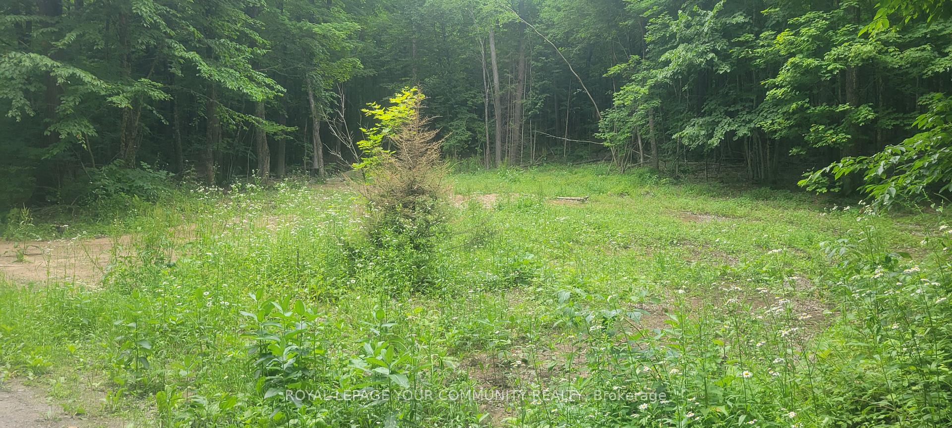 Photo 3 of 00 Tusk Trail, Dysart et al, Harcourt — HOMEH