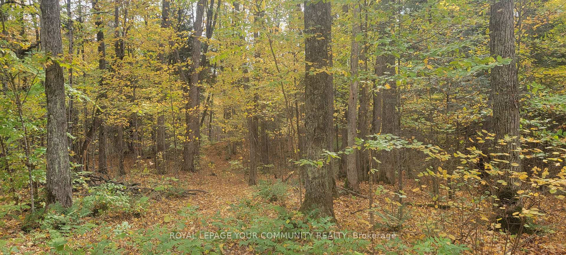 Photo 5 of 00 Tusk Trail, Dysart et al, Harcourt — HOMEH