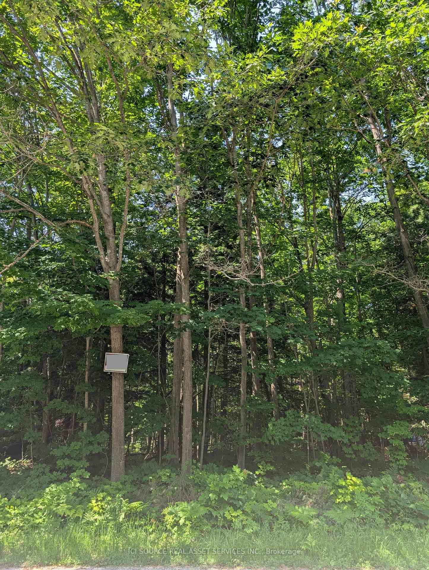 Photo 12 of LT 32 Pl 1470, Tiny, Rural Tiny — HOMEH