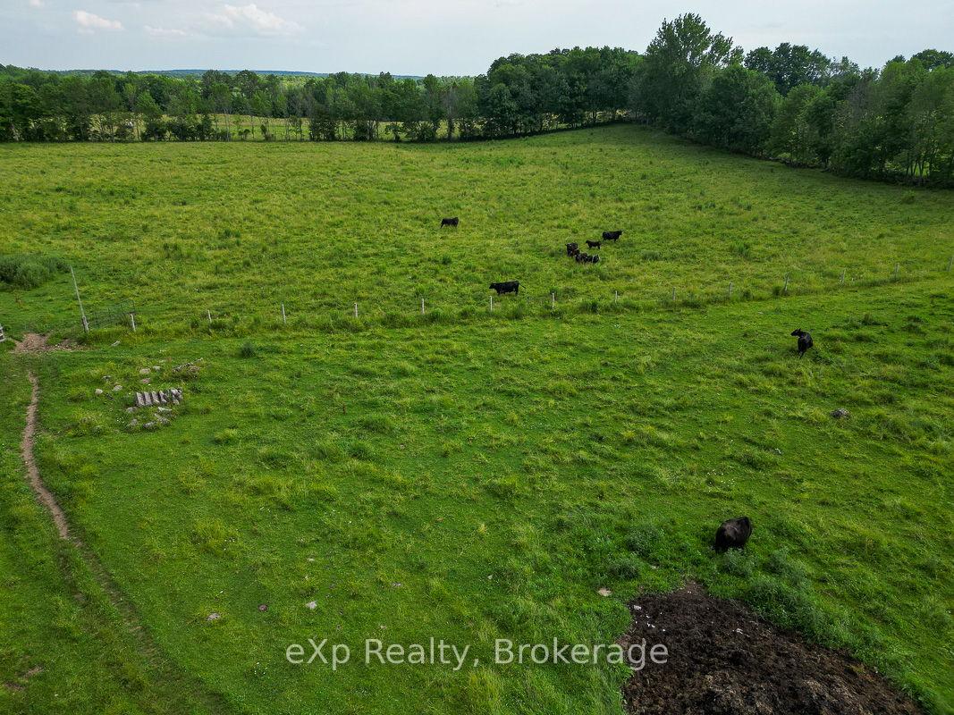 Photo 44 of 845064 Deviation Road, Grey Highlands — HOMEH
