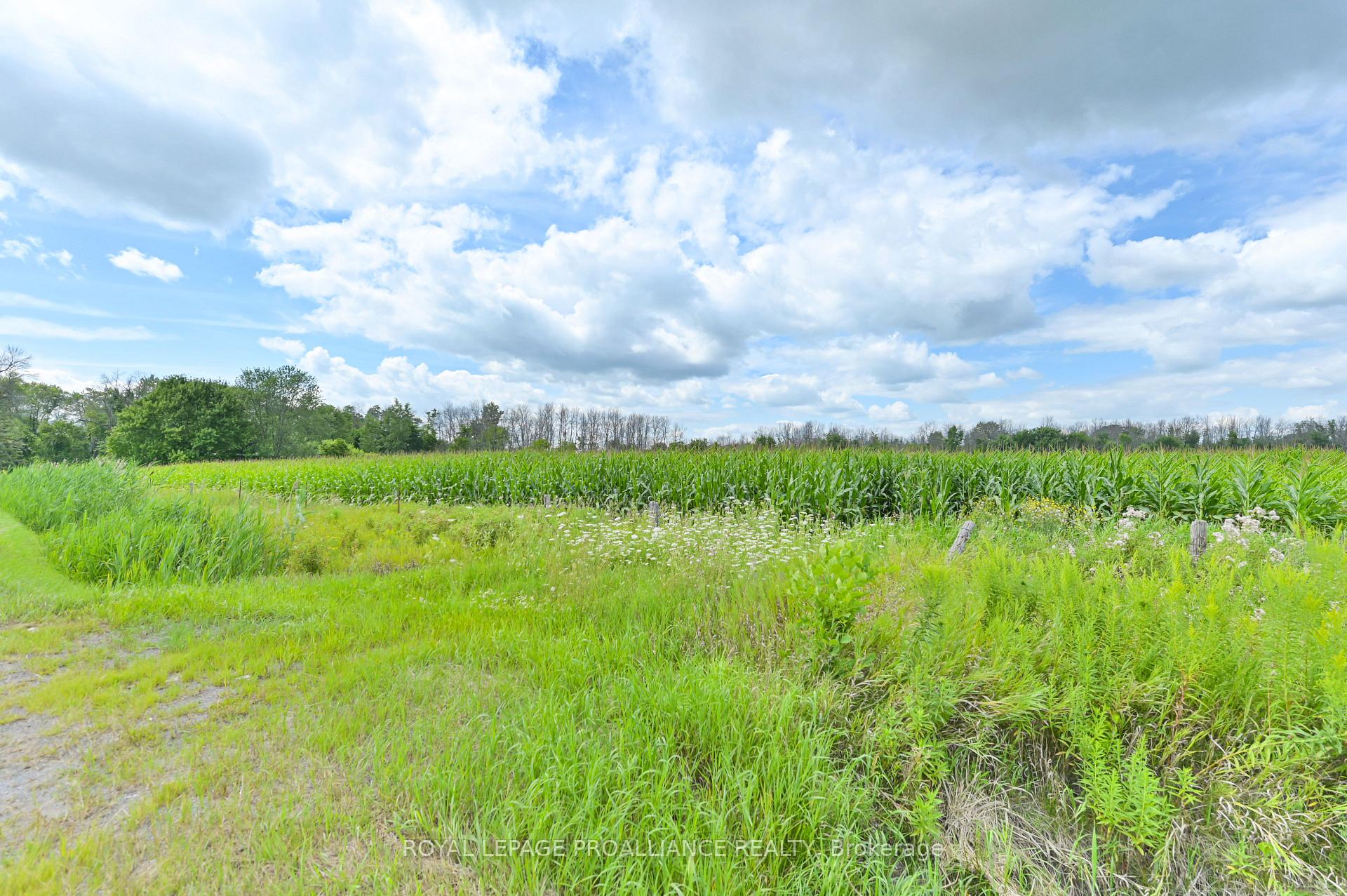Photo 1 of Hamilton Road, Belleville, Belleville Ward — HOMEH