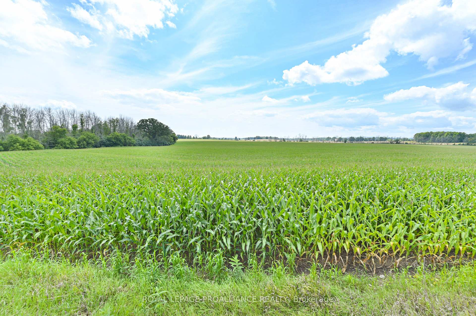 Photo 4 of Hamilton Road, Belleville, Belleville Ward — HOMEH