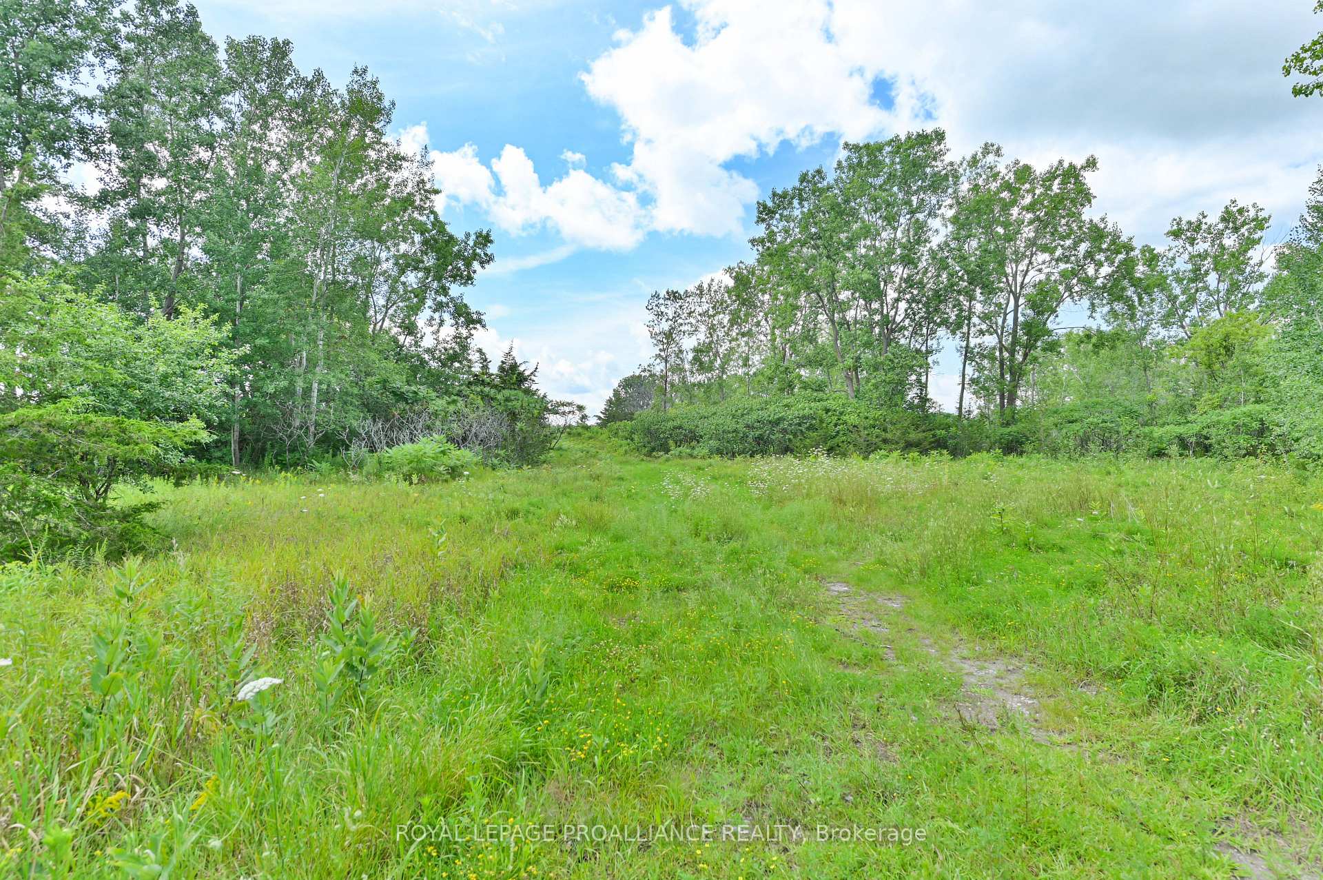 Photo 5 of Hamilton Road, Belleville, Belleville Ward — HOMEH