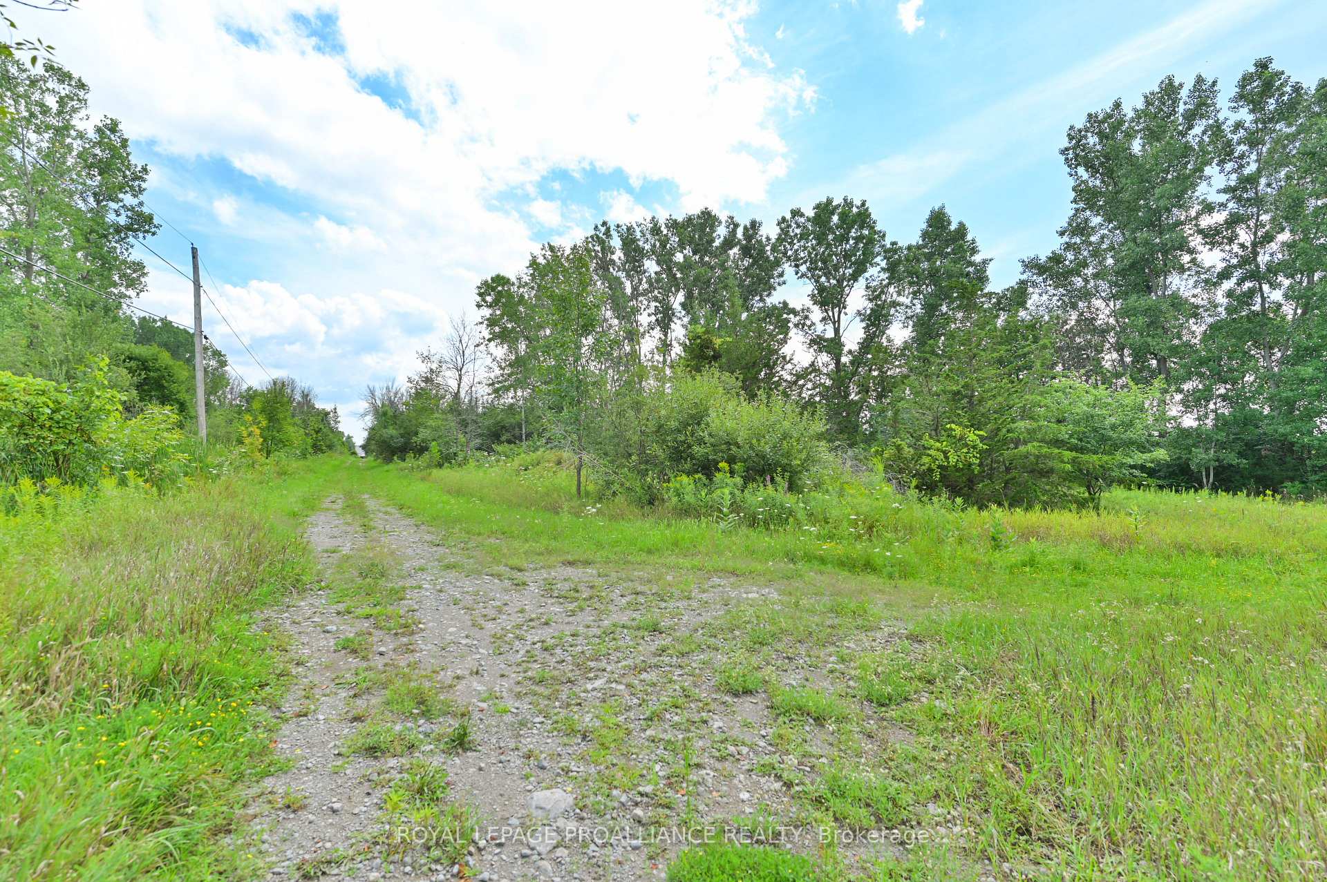 Photo 6 of Hamilton Road, Belleville, Belleville Ward — HOMEH