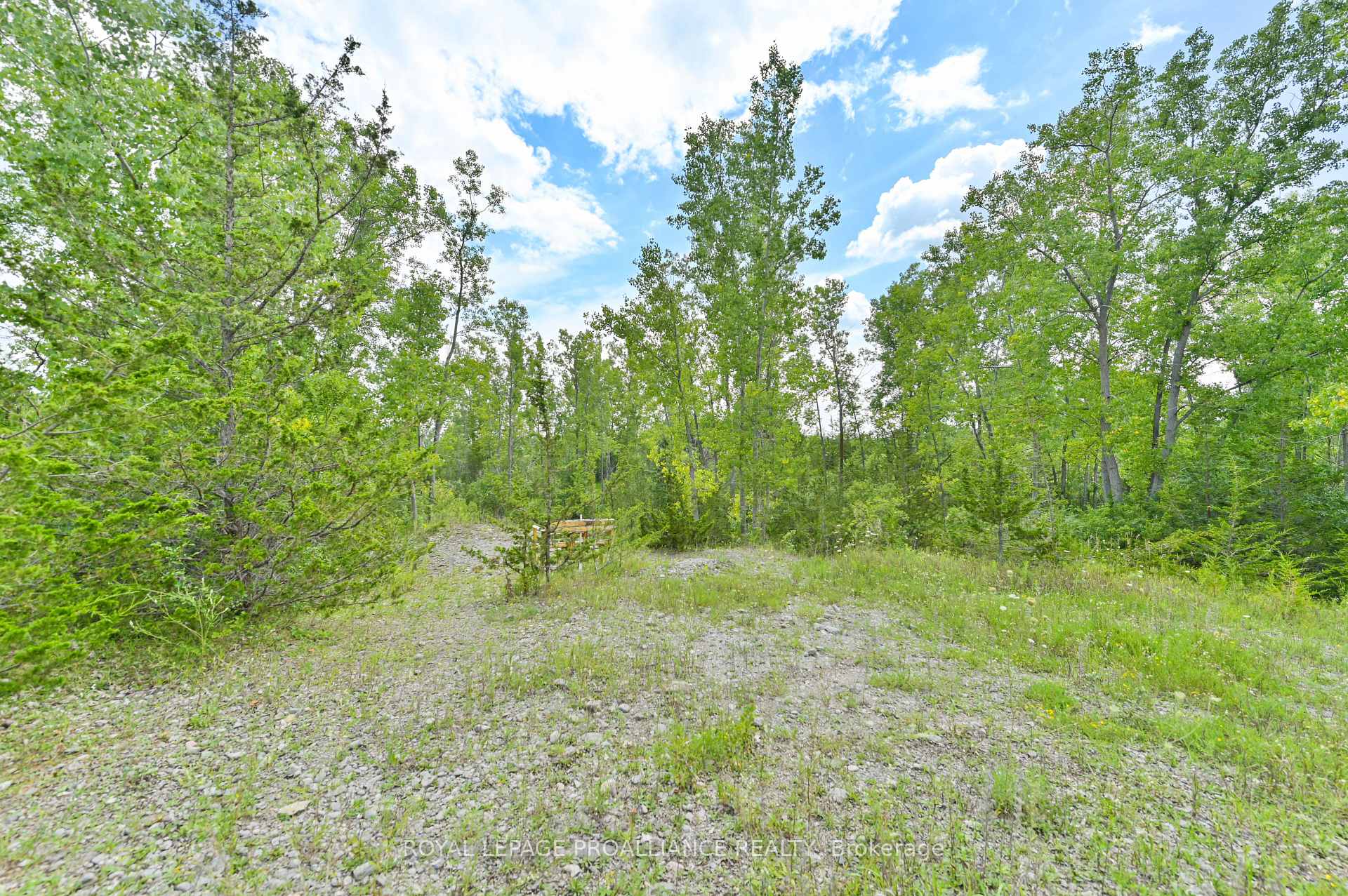 Photo 9 of Hamilton Road, Belleville, Belleville Ward — HOMEH