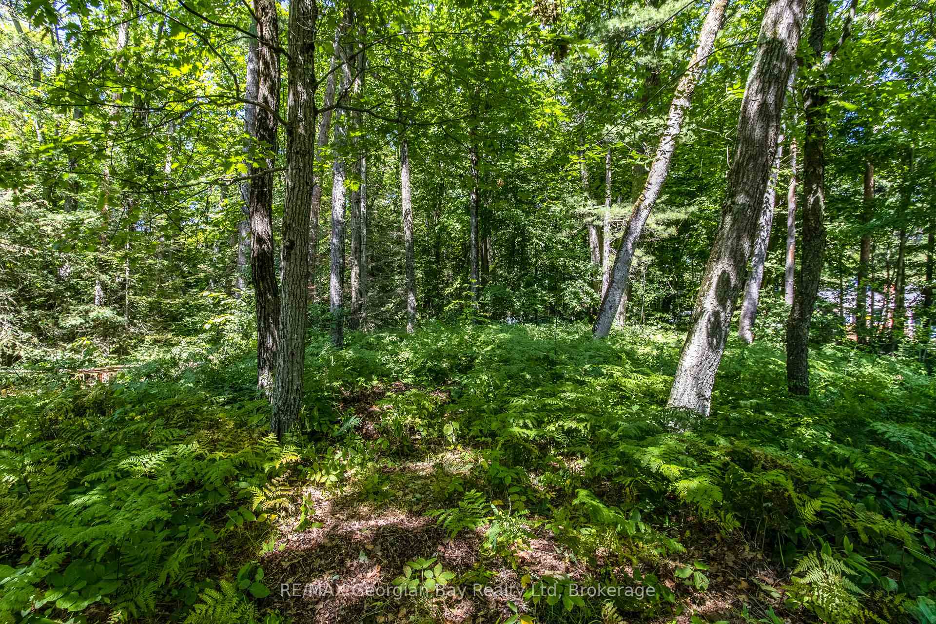 Photo 20 of 1209 Tiny Beaches Road S, Tiny, Rural Tiny — HOMEH