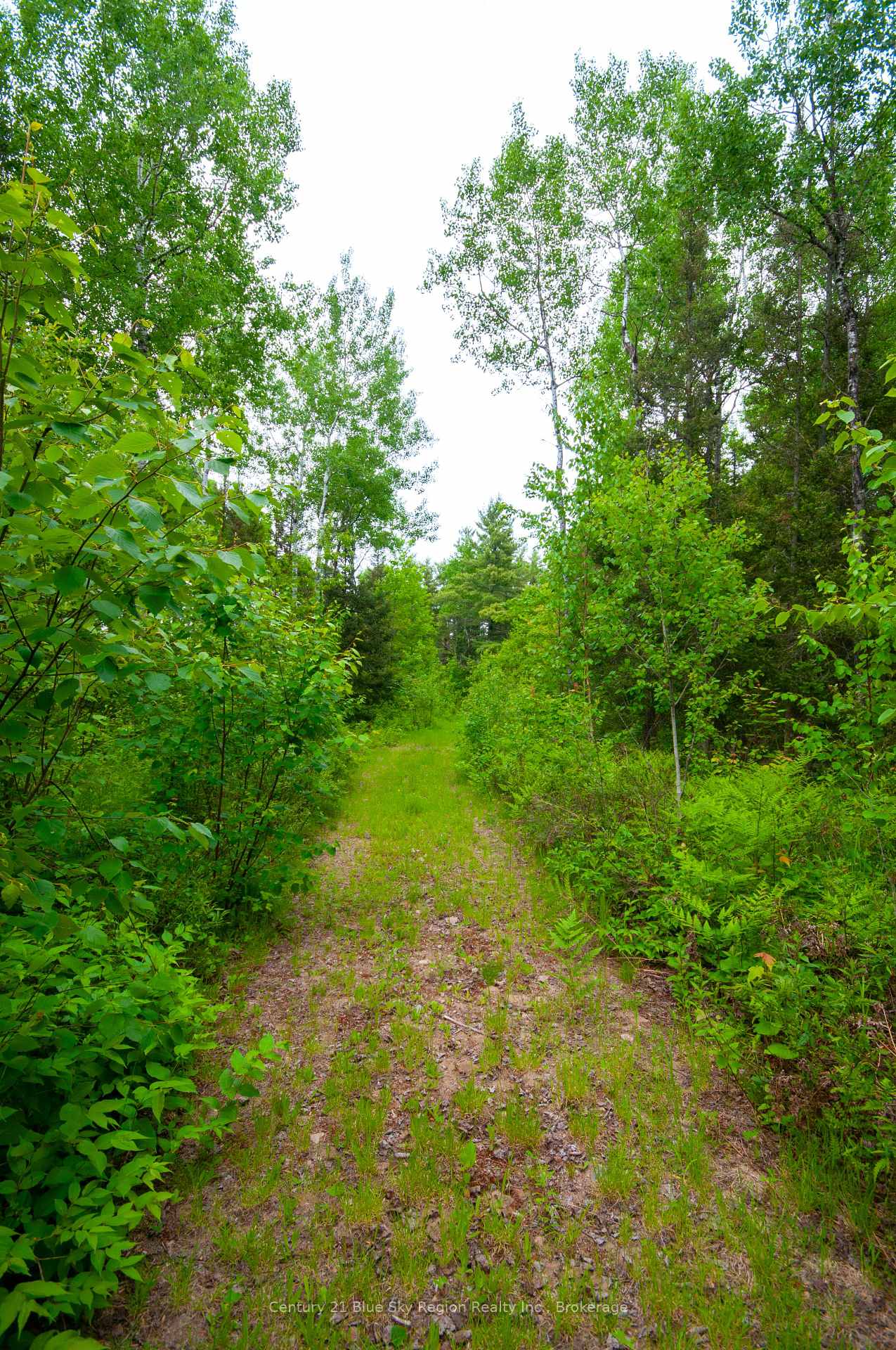Photo 10 of 2642B Highway 17 E, East Ferris — HOMEH