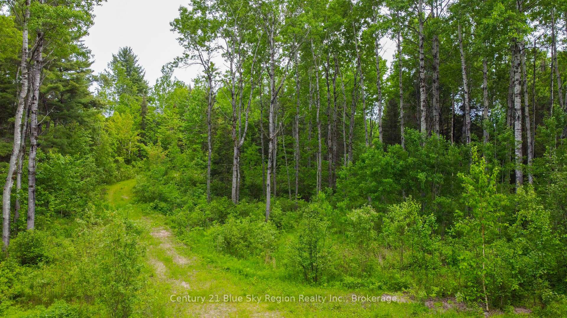Photo 19 of 2642B Highway 17 E, East Ferris — HOMEH