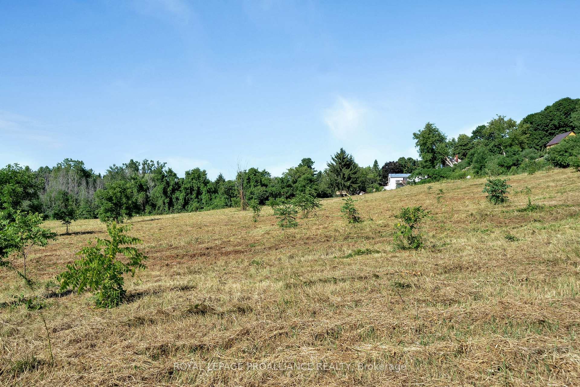 Photo 8 of 00 Smith Street, Quinte West, Murray Ward — HOMEH