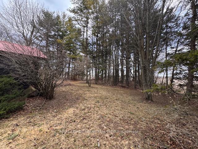 Photo 5 of 3725 Concession 1 Road, Clarington, Rural Clarington — HOMEH