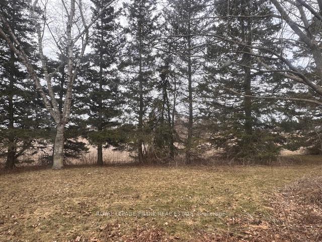 Photo 15 of 3725 Concession 1 Road, Clarington, Rural Clarington — HOMEH