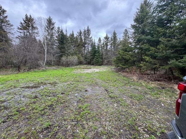 Photo 3 of Part Lot 5 McDonald Road, West Nipissing, Verner — HOMEH