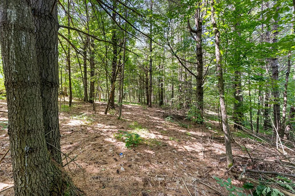 Photo 5 of 115 Doran Road, Tay Valley, Bathurst/Burgess & Sherbrooke (Bathurst) Twp — HOMEH