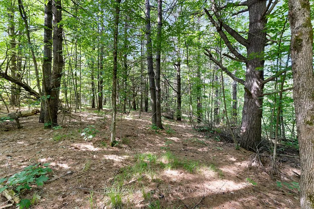 Photo 6 of 115 Doran Road, Tay Valley, Bathurst/Burgess & Sherbrooke (Bathurst) Twp — HOMEH